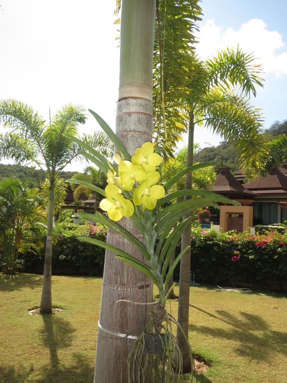 Panorama Pool Villa Khao Tao Exterior foto